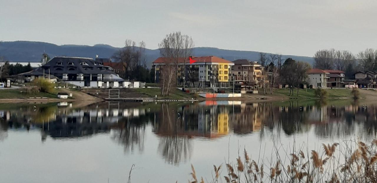 Apartman Alisa Veliko Gradište Εξωτερικό φωτογραφία