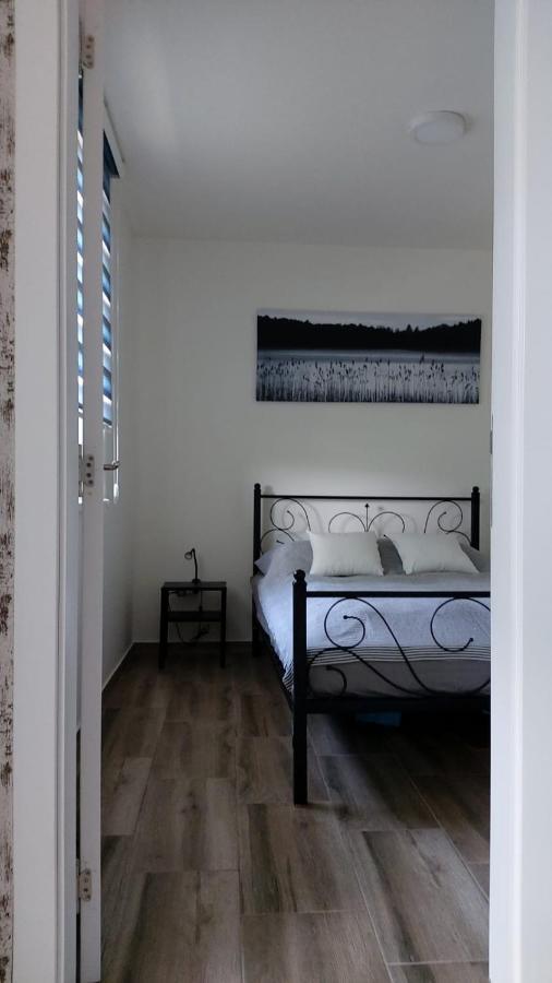 Apartman Alisa Veliko Gradište Εξωτερικό φωτογραφία