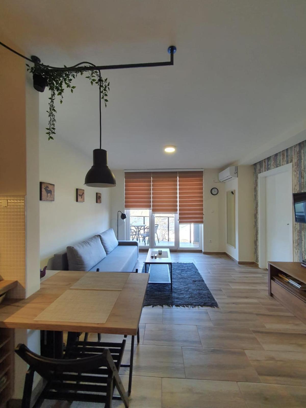 Apartman Alisa Veliko Gradište Εξωτερικό φωτογραφία